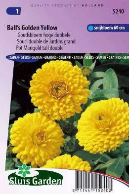 Goudsbloem Balls Golden Dubbel Goudgeel, Calendula