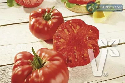 Vleestomaat Buffalo Steak (CLX 37660) F1 Ca 100 zaden