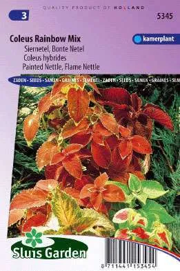 Siernetel Regenboogmengsel, Coleus 5345