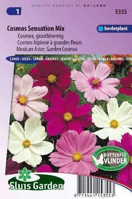 Cosmos Sensation Reuzenbl. Prachtmengsel, Cosmea 5355