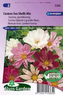 Cosmos Sea Shells Gemengd, Cosmea  5365