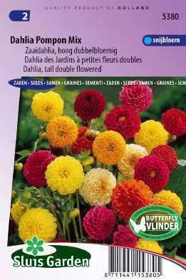 Dahlia Pomponbloemig Gemengd 5380