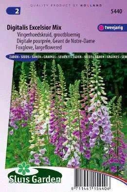 Vingerhoedskruid Grootbloemig Mengsel, Digitalis 5440