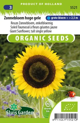 Helianthus annuus giganteusHoge gele  Eco