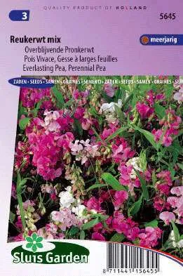 Sweet pea everlasting, Perennial pea Mix