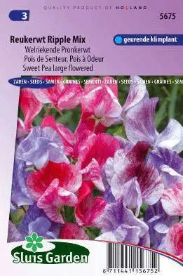 Pronkerwt Grootbl. Ripple Formula Mix  Lathyrus
