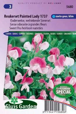 Pronkerwt Lathyrus odoratus grandiflorus Painted Lady 1737