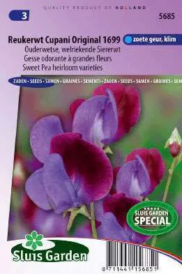 Pronkerwt Lathyrus odoratus grandifloor Cupani Original 16