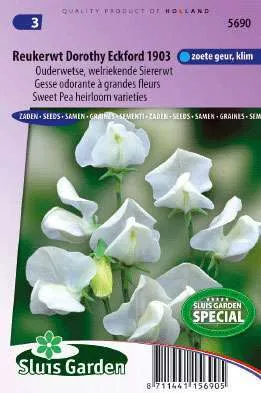 Pronkerwt Lathyrus Odoratus Grandiflorus Dorothy Eckford19