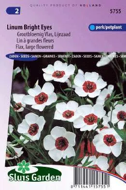 Vlas Linum Bright Eyes grootbloemig