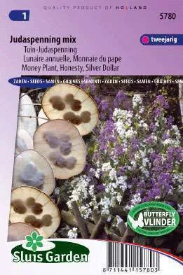 Judaspenning, Lunaria