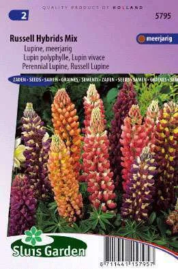 Lupine, Vaste Lupine Russell Hybriden Gemengd