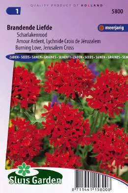 Burning love, Jerusalem Cross Scarlet