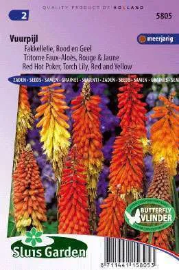 Red Hot Poker, Torch Lily Red an Yellow