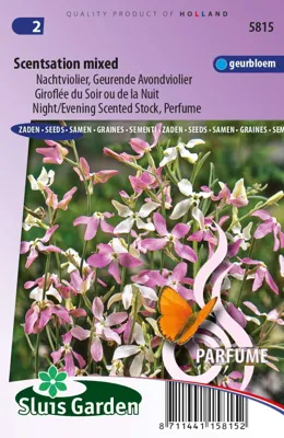 Matthiola of Zomerviolier Sensation Avondgeurder