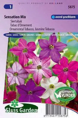 Nicotiana alata sensation mix