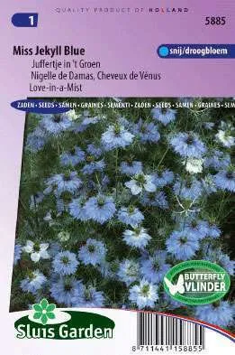 Juffertje in het Groen Hemelsblauw, Nigella