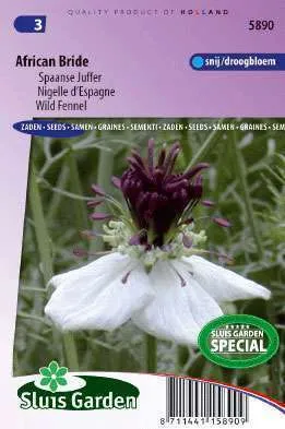 Nigella Paillosa African Bride