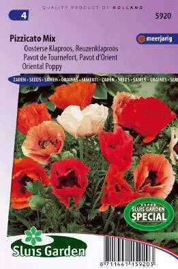 Papaver of Klaproos Pizzicato Gemengd