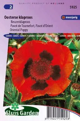 Papaver of Klaproos Orientale