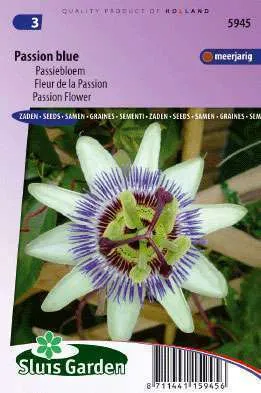 Passiflora of Passiebloem