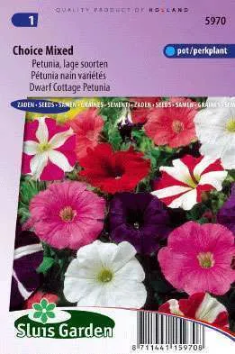 Petunia Laag Prachtmengsel