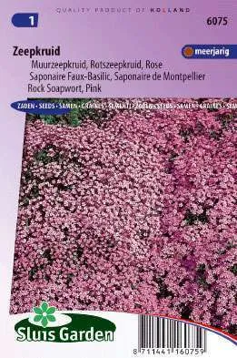 Saponaria of Zeepkruid, meerjarige