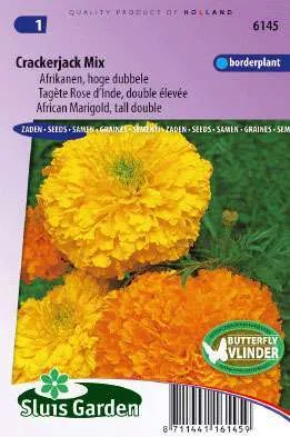 Afrikanen Hoge Dubbele gemengd, Tagetes Erecta