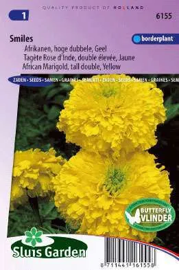 Afrikanen Smiles,Tagetes Erecta