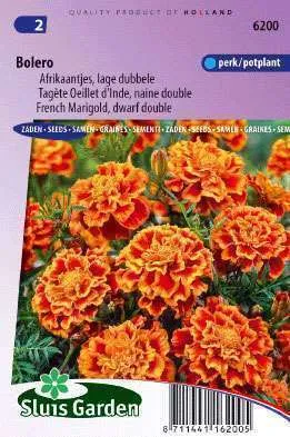 Afrikanen Bolero,  Tagetes Patula Nana