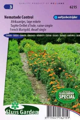 Afrikanen Tagetes patula nana Nematode control