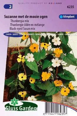 Black-eyed Susan Mix