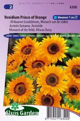 Venidium Oranje