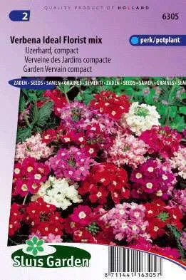 Verbena, IJzerhard Extra Lage Gemengd