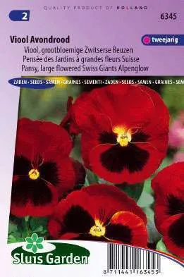 Violen Zwitserse Reuzen, alpenrood