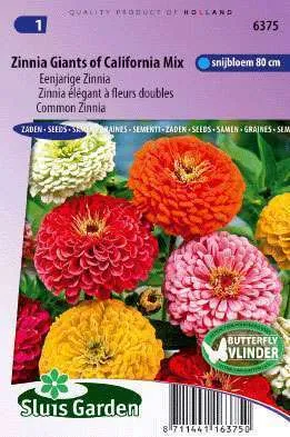 Zinnia Reuzen Van Californië Gemengd