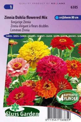 Zinnia Dahliabloemige Reuzen Gemengd