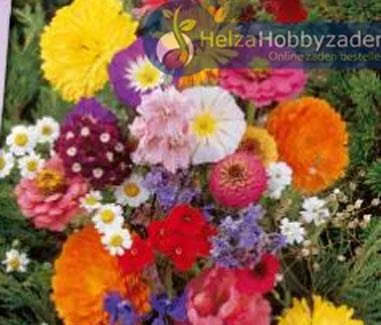 Snijbloemen mengsel