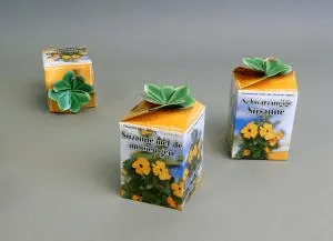 Greengift Black-eyed Susan