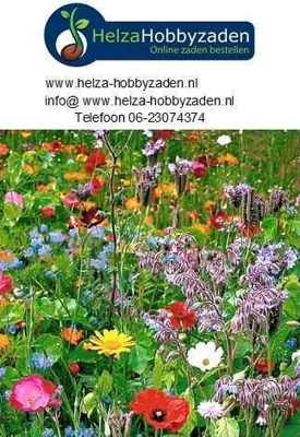 Onze actie voor het behoud van Bijen en Vlinders