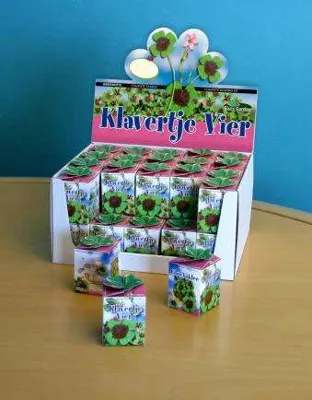 Greengift Lucky four leaf clover