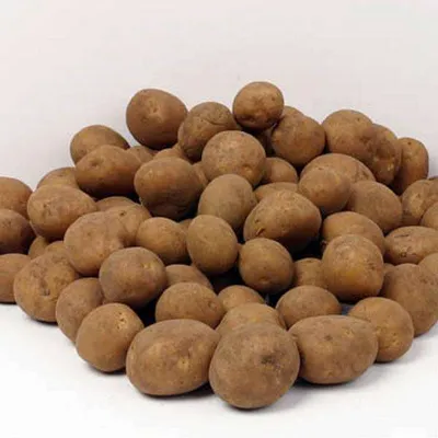 lekkerlander
