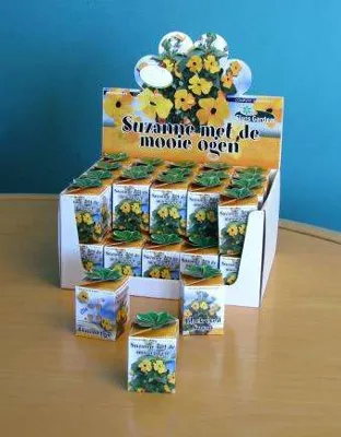 Showdoos Suzanne met de mooie ogen