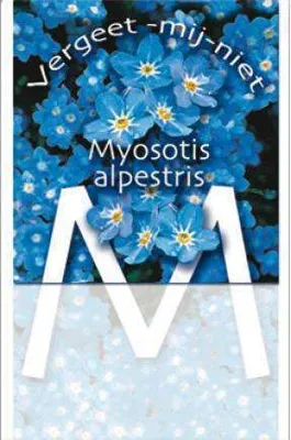 Vergeet mij nietje gifts, 100 zakjes