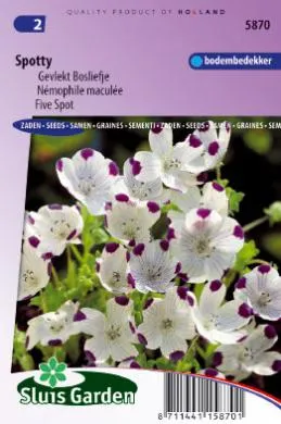Bosliefje of Nemophila, Spotty