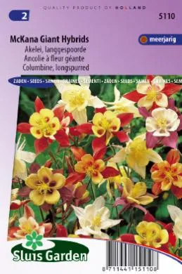 Akelei  Langgespoorde Gemengd