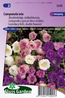 Klokjesbloem Dubbele Gemengd, Campanula