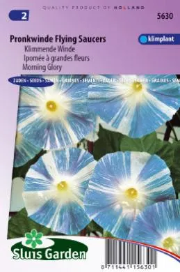 Klimmende Winde Flying Saucer Ipomoea