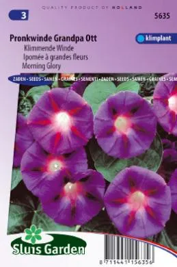 Klimmende Winde Grandpa Ott Ipomoea