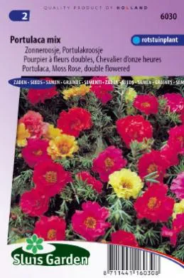 Portulaca Dubbele Prachtmengsel